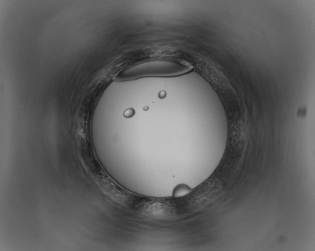 X0000090740755200708031545