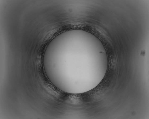 X0000090740756200708031545