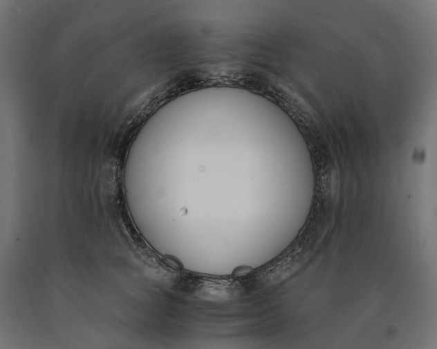 X0000090740757200708031545