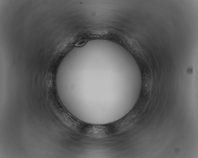 X0000090740758200708031545