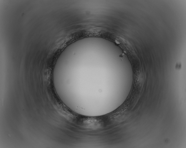 X0000090740759200708031545