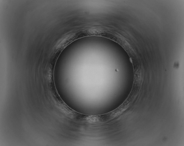 X0000090740762200708031545