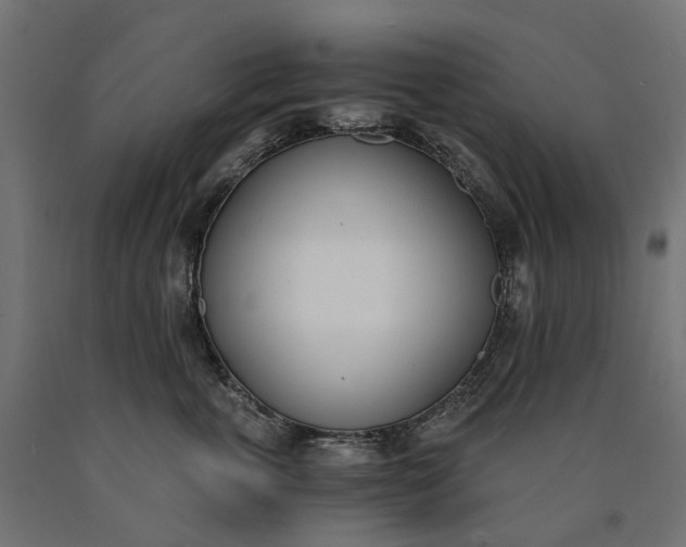 X0000090740763200708031545