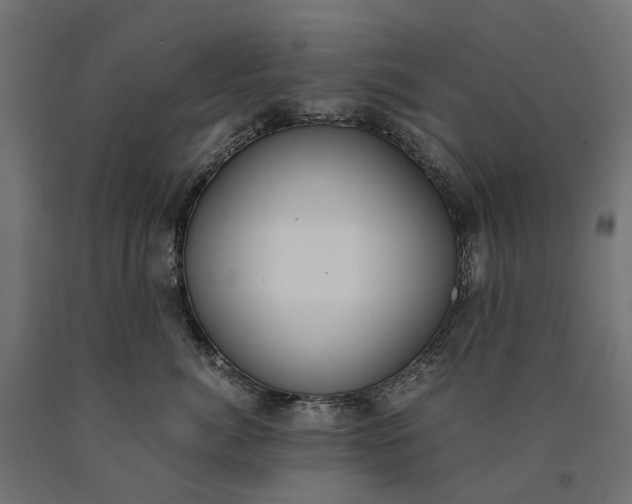 X0000090740764200708031545