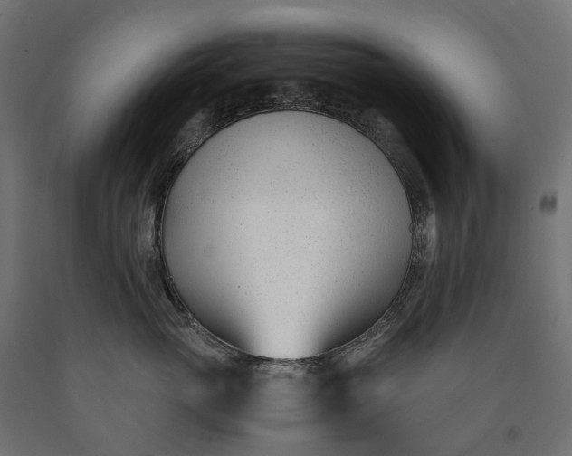 X0000090740765200708031545