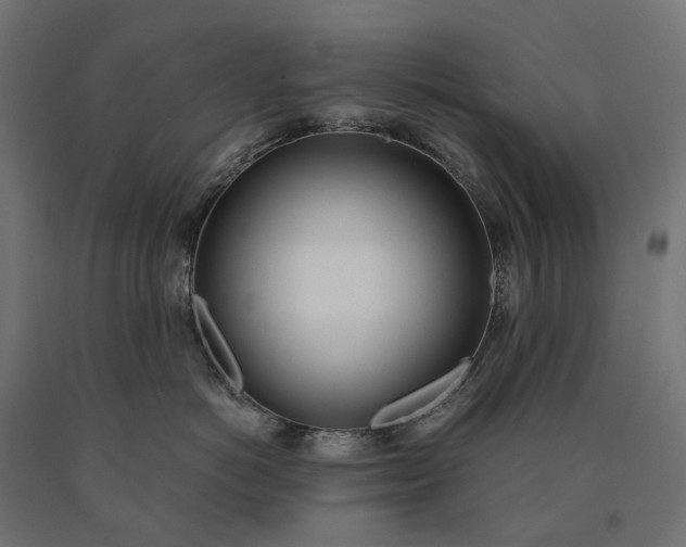 X0000090740766200708031545