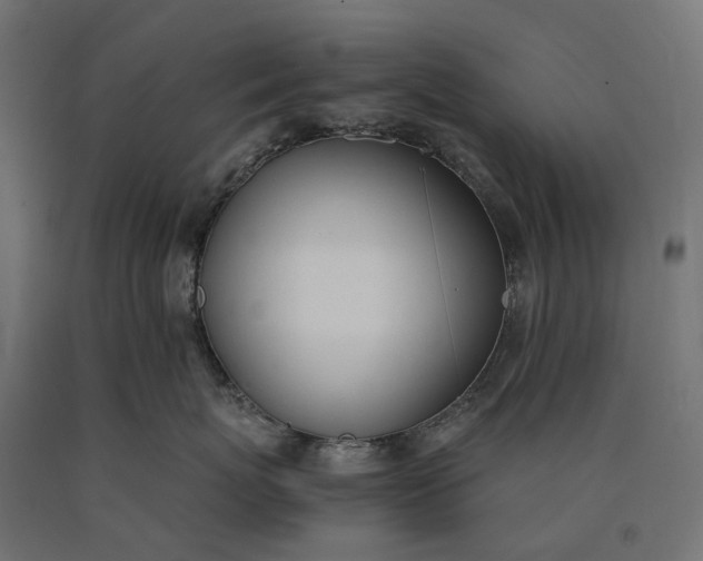 X0000090740767200708031545