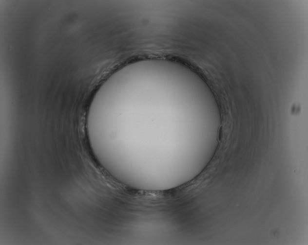 X0000090740768200708031545