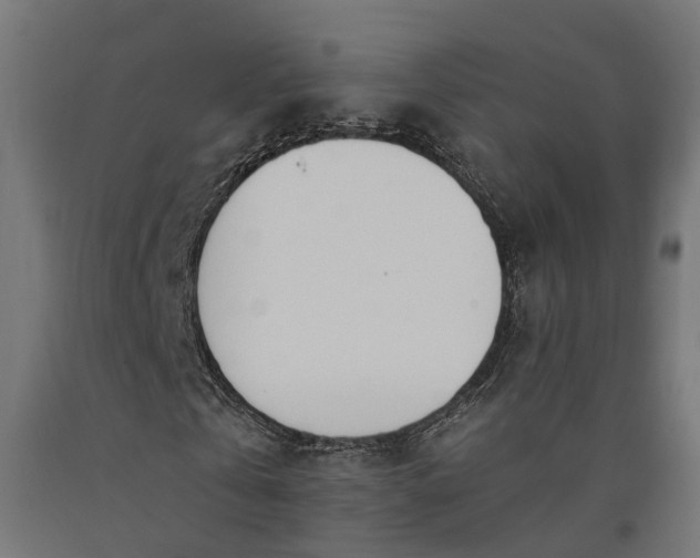 X0000090740769200708031545