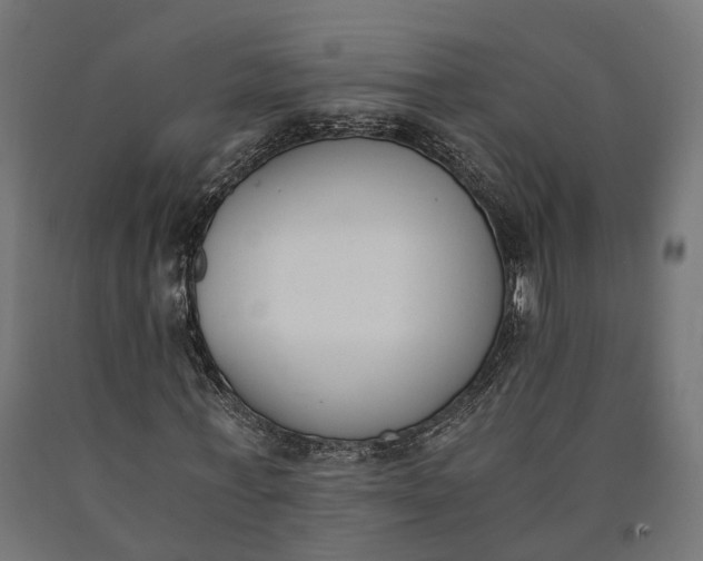 X0000090740771200708031545