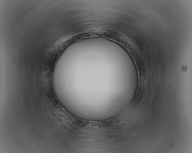 X0000090740773200708031545