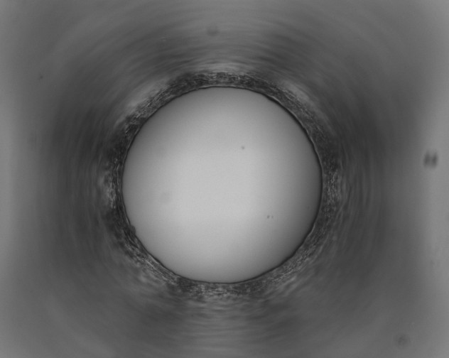 X0000090740774200708031545