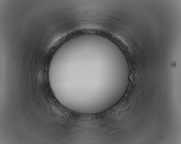 X0000090740775200708031545