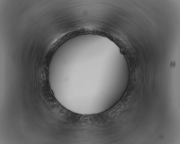 X0000090740776200708031545