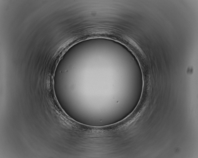 X0000090740777200708031545