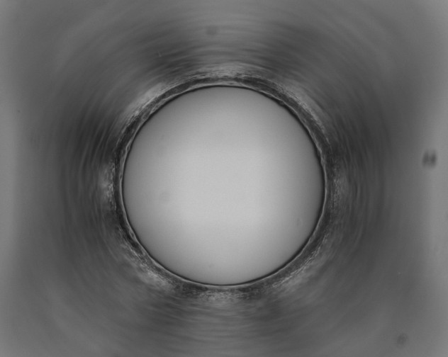 X0000090740778200708031545