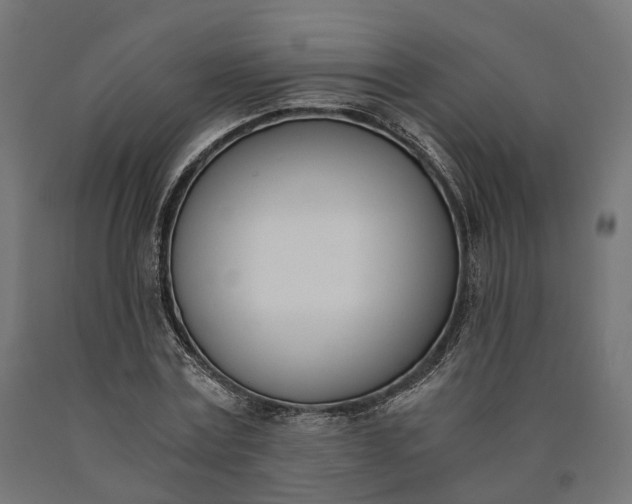 X0000090740779200708031545