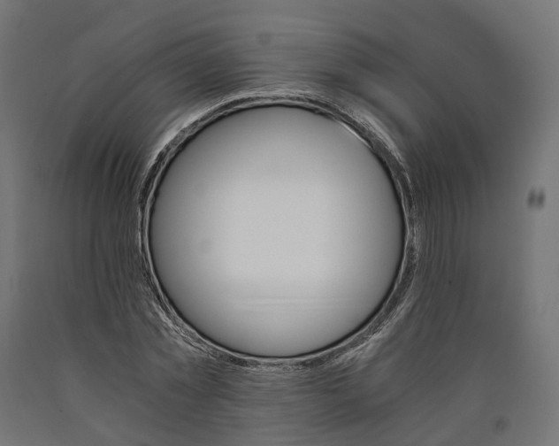 X0000090740781200708031545