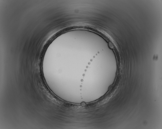 X0000090740783200708031545