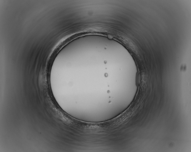 X0000090740784200708031545