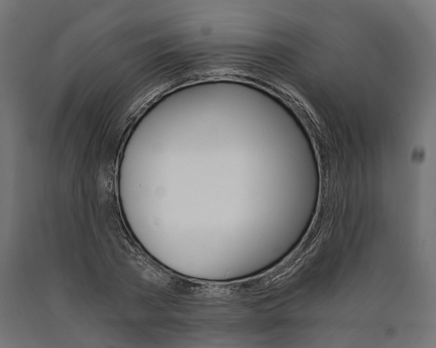 X0000090740785200708031545