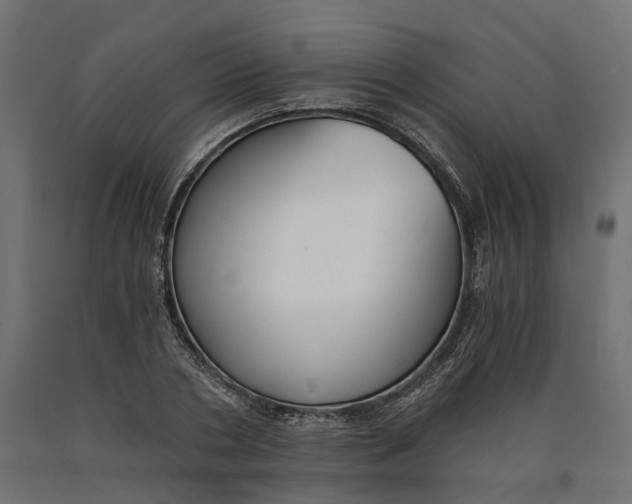 X0000090740786200708031545