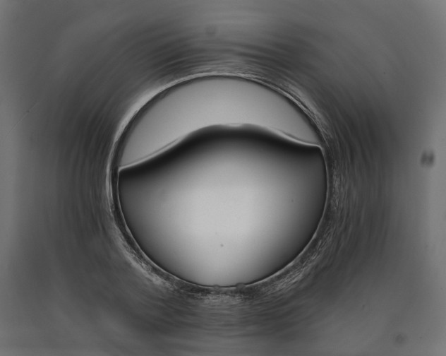 X0000090740788200708031545