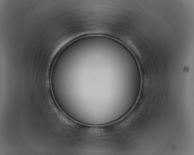 X0000090740789200708031545