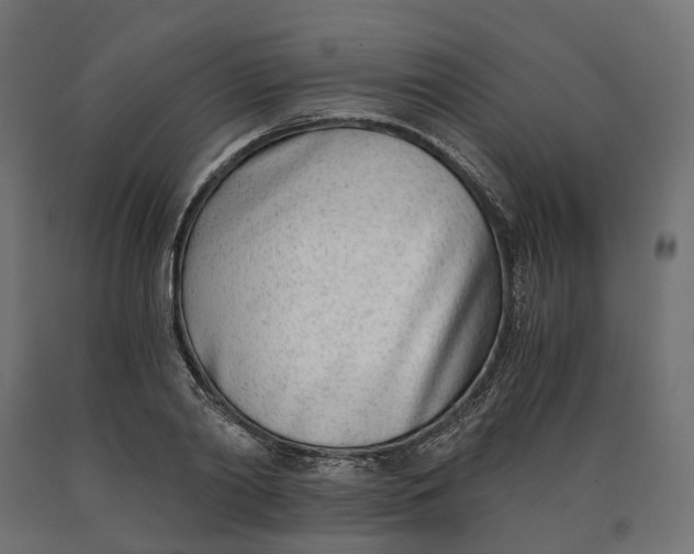 X0000090740790200708031544