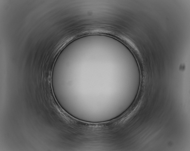 X0000090740793200708031544