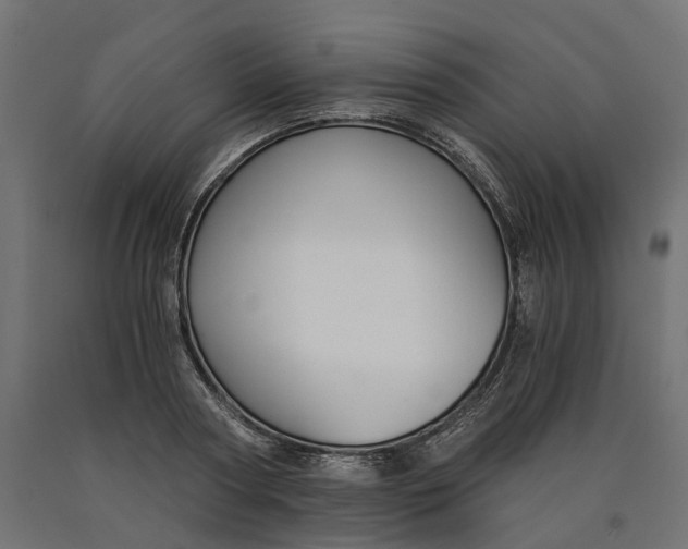 X0000090740794200708031544