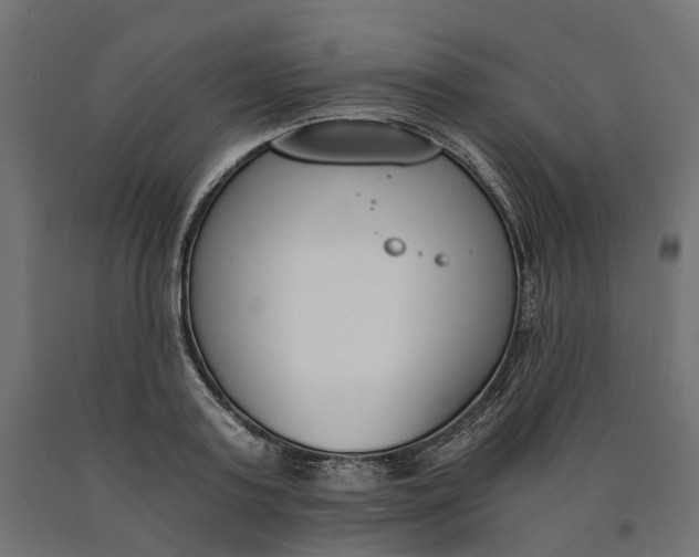 X0000090740795200708031544