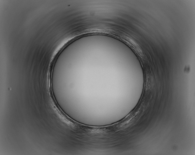 X0000090740796200708031544