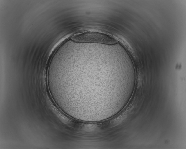 X0000090740798200708031544