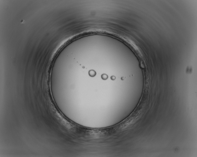 X0000090740799200708031544