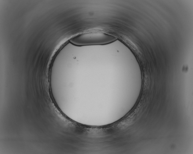 X0000090740800200708031544