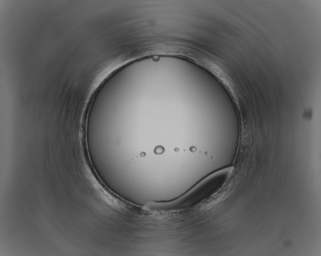 X0000090740803200708031544