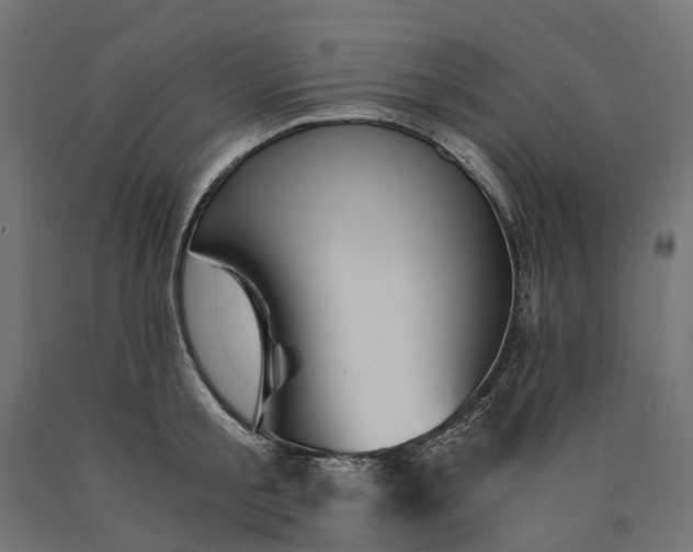 X0000090740805200708031544