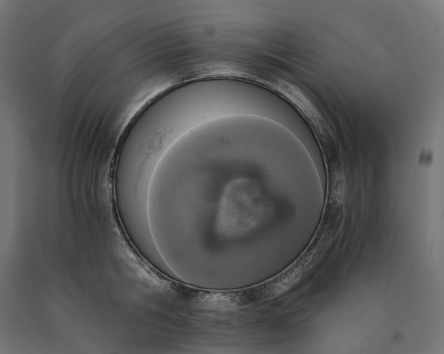 X0000090740806200708031544