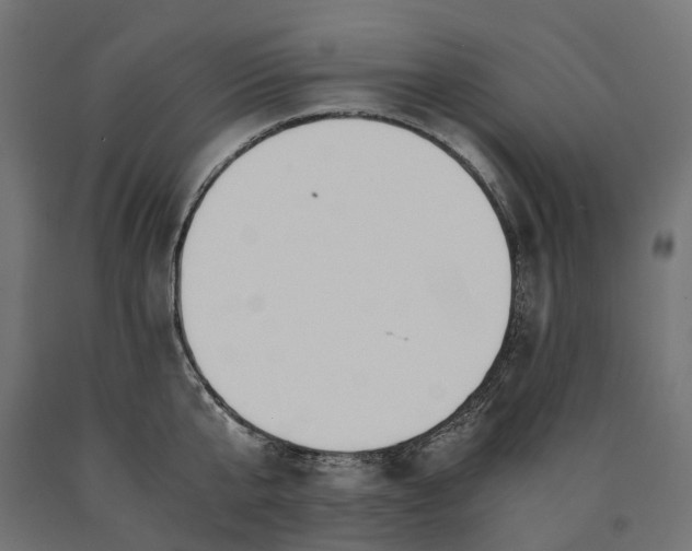 X0000090740807200708031544