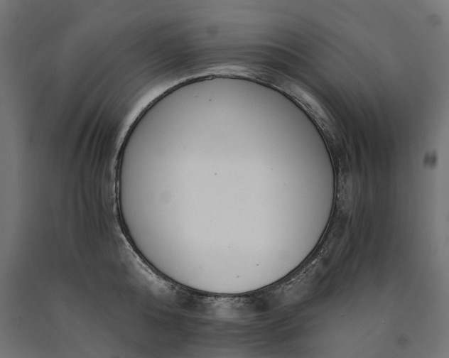 X0000090740808200708031544