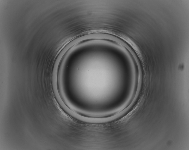 X0000090740809200708031544