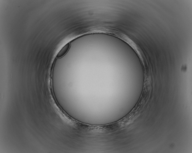 X0000090740811200708031544