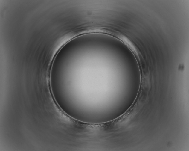 X0000090740813200708031544