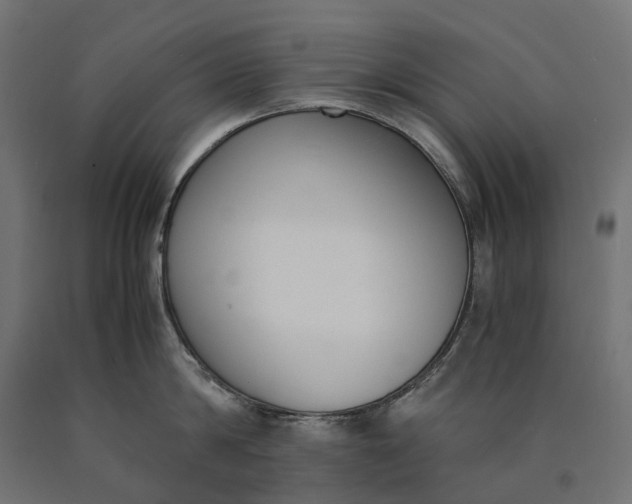 X0000090740814200708031544