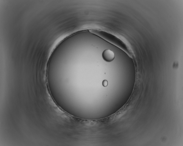 X0000090740815200708031544