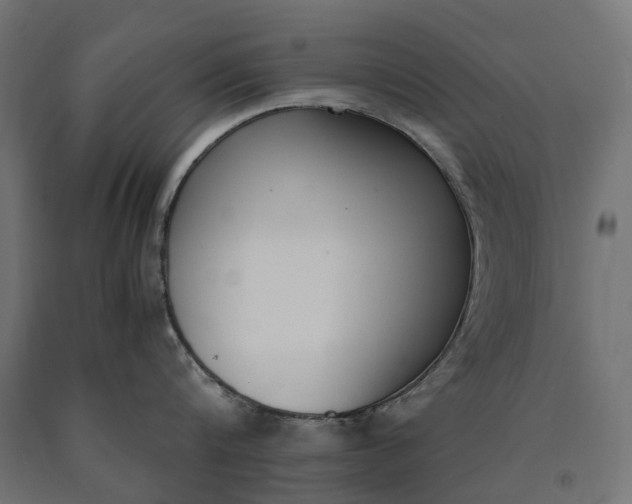 X0000090740816200708031544