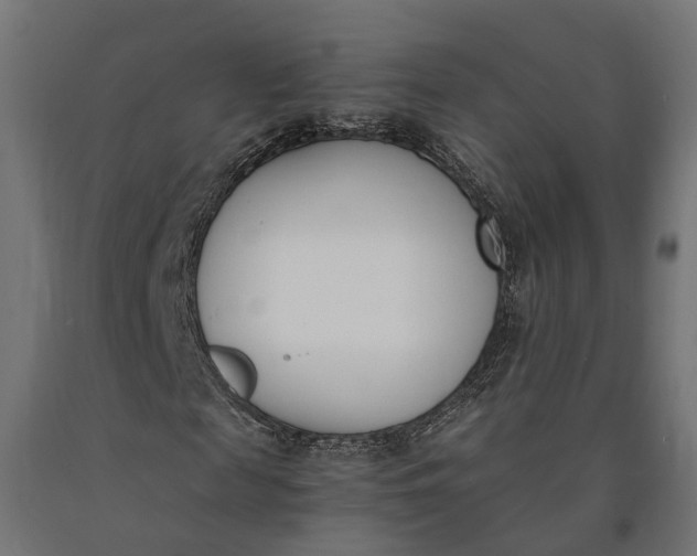 X0000090740817200708031543