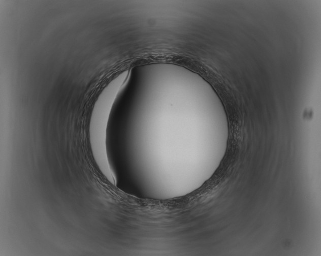 X0000090740818200708031543