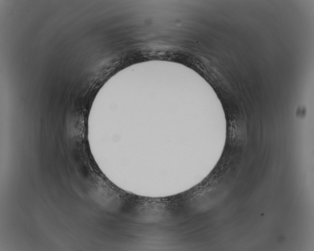 X0000090740820200708031544